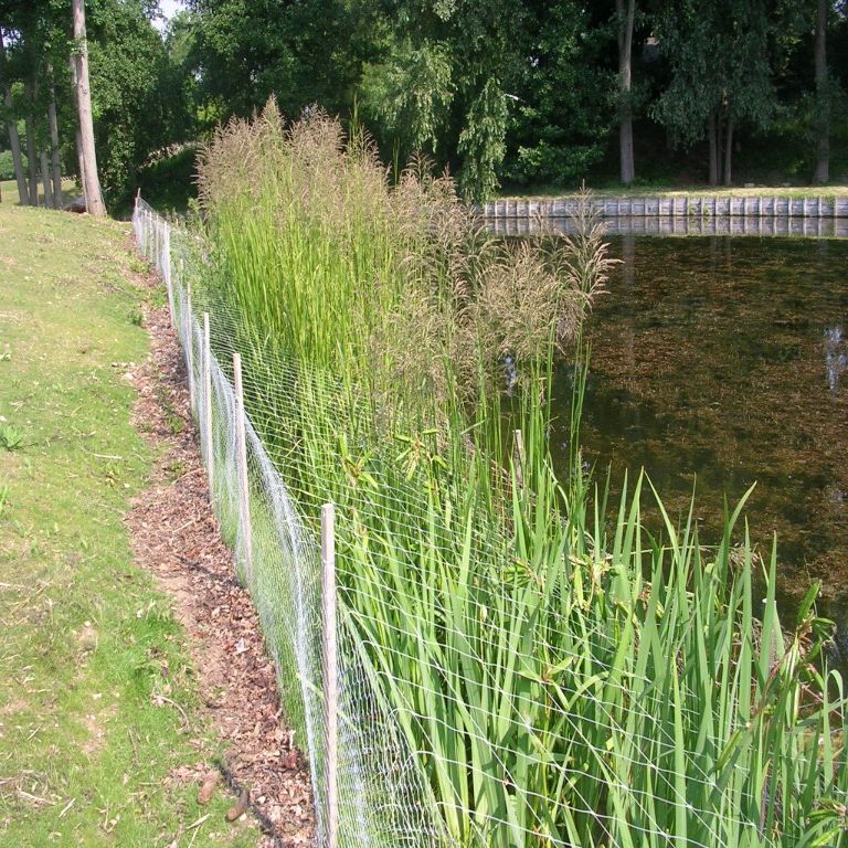 Pack \"consolidation des berges\" <br/>50 plantes